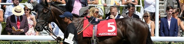 Matchbook Bonus Code